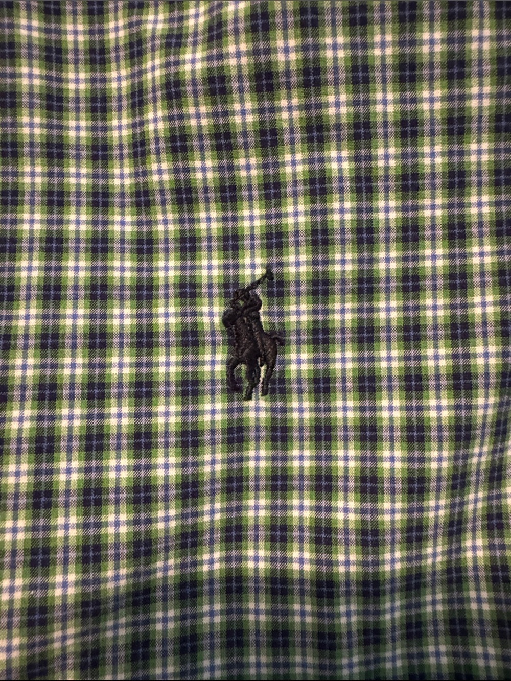 Boys Ralph Lauren Plaid Button-Down Shirt - Green & Navy with navy horse 14/16
